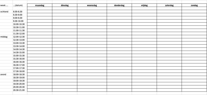 Het is een format in excel met daarin alle dagen van de week in kolommen en tijd in 30-minuten blokken in rijen eronder.